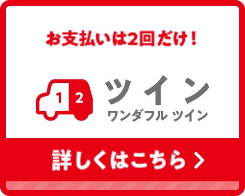 ツイン ワンダフル ツイン